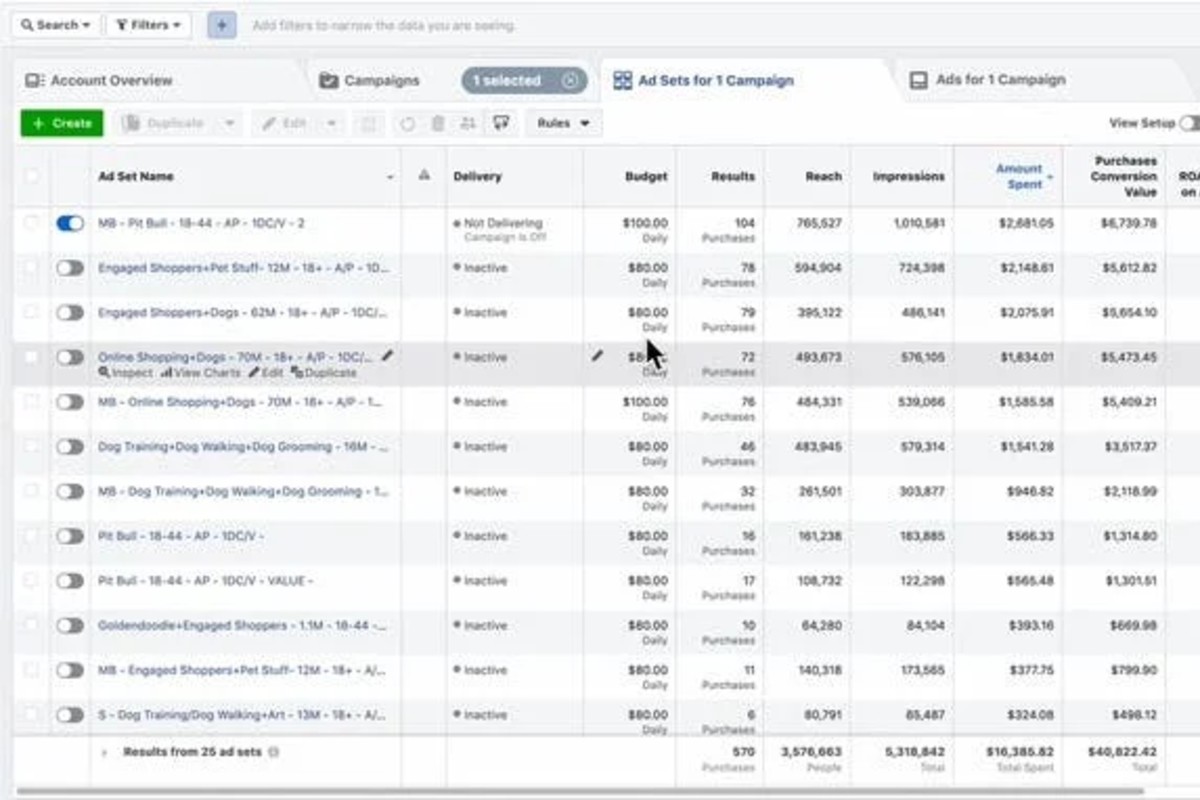 Meta Ads Campaign Strategy & ROI Growth Case Studies